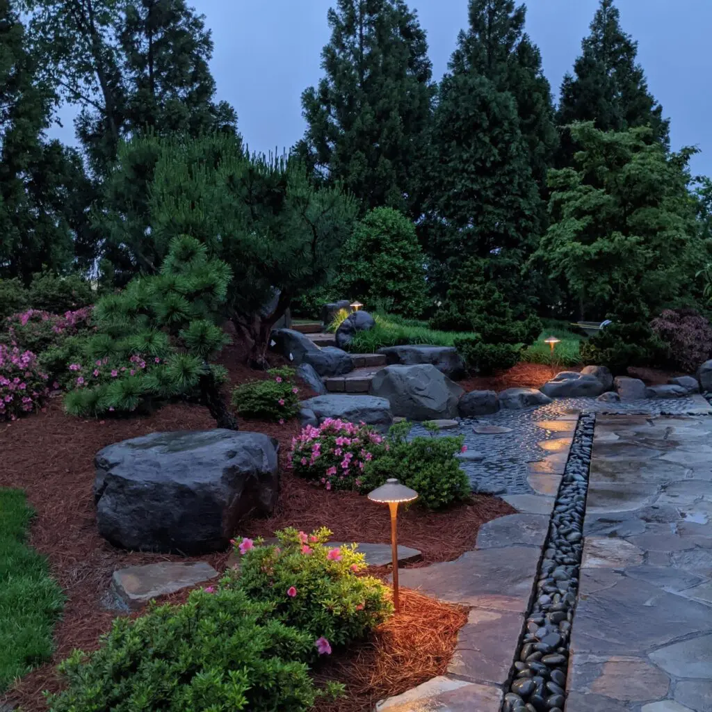 One Step At A Time...towards A Garden Upgrade 2 One Step At A Time...towards A Garden Upgrade 464518043 1280640376225006 1801159388634360725 N