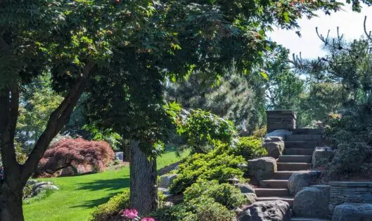 One Step At a Time…Towards A Garden Upgrade_featured_image