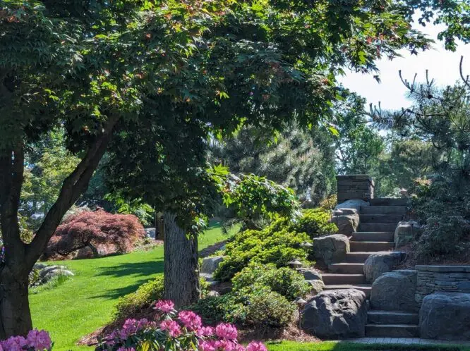 One Step At a Time…Towards A Garden Upgrade_featured_image