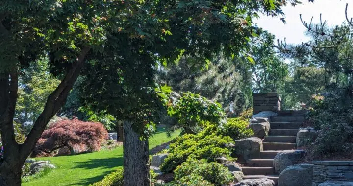 One Step At A Time...towards A Garden Upgrade 464671538 1280638852891825 6915807207578352483 N