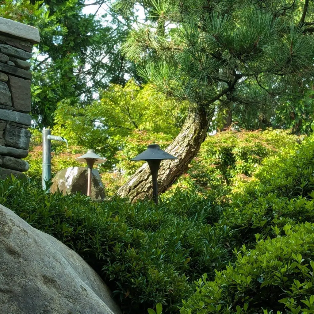 Garden Inspirations... 4 Garden Inspirations... 465463921 1285826235706420 5676592799653539397 N