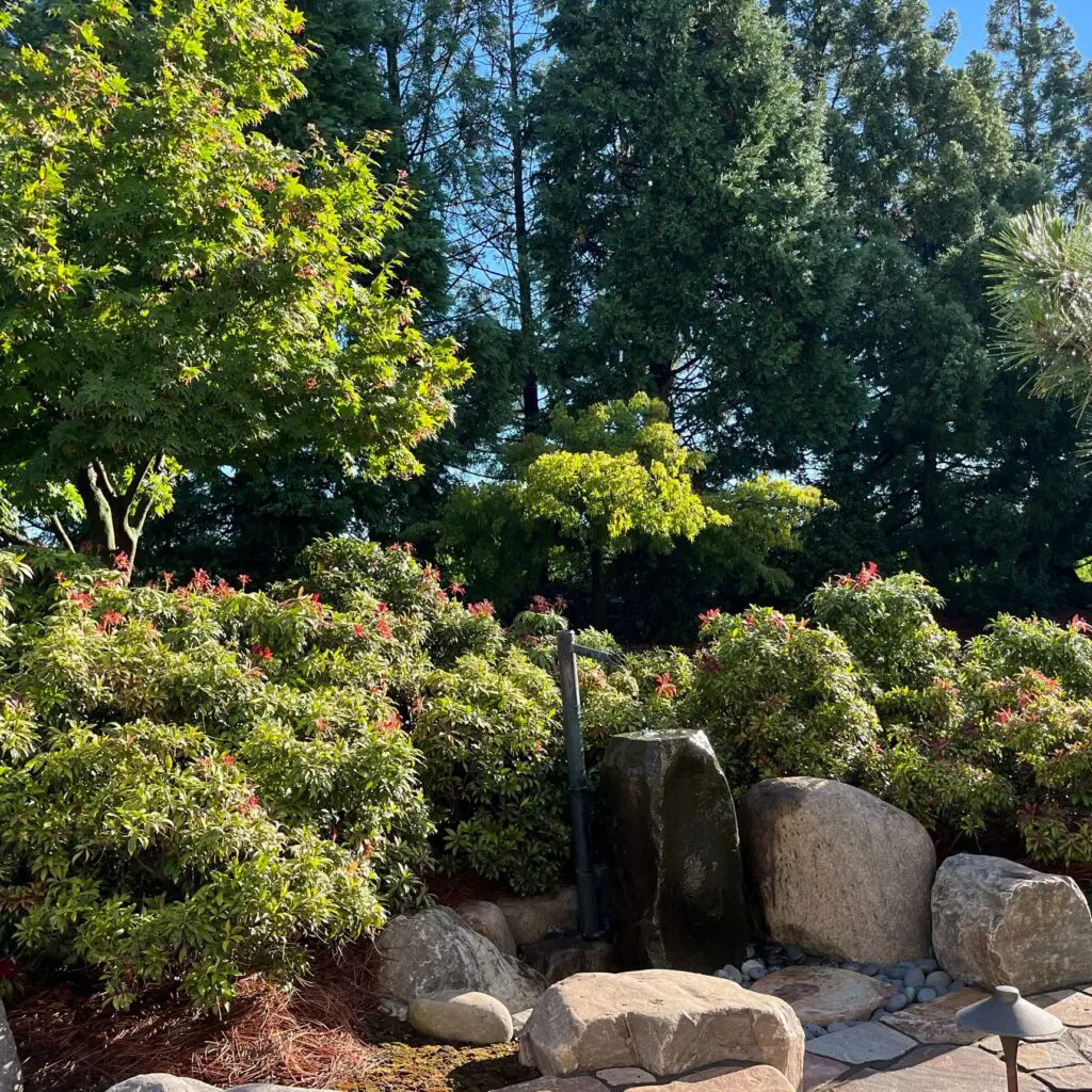 Garden Inspirations... 2 Garden Inspirations... 465473558 1285824429039934 5411681232502044166 N