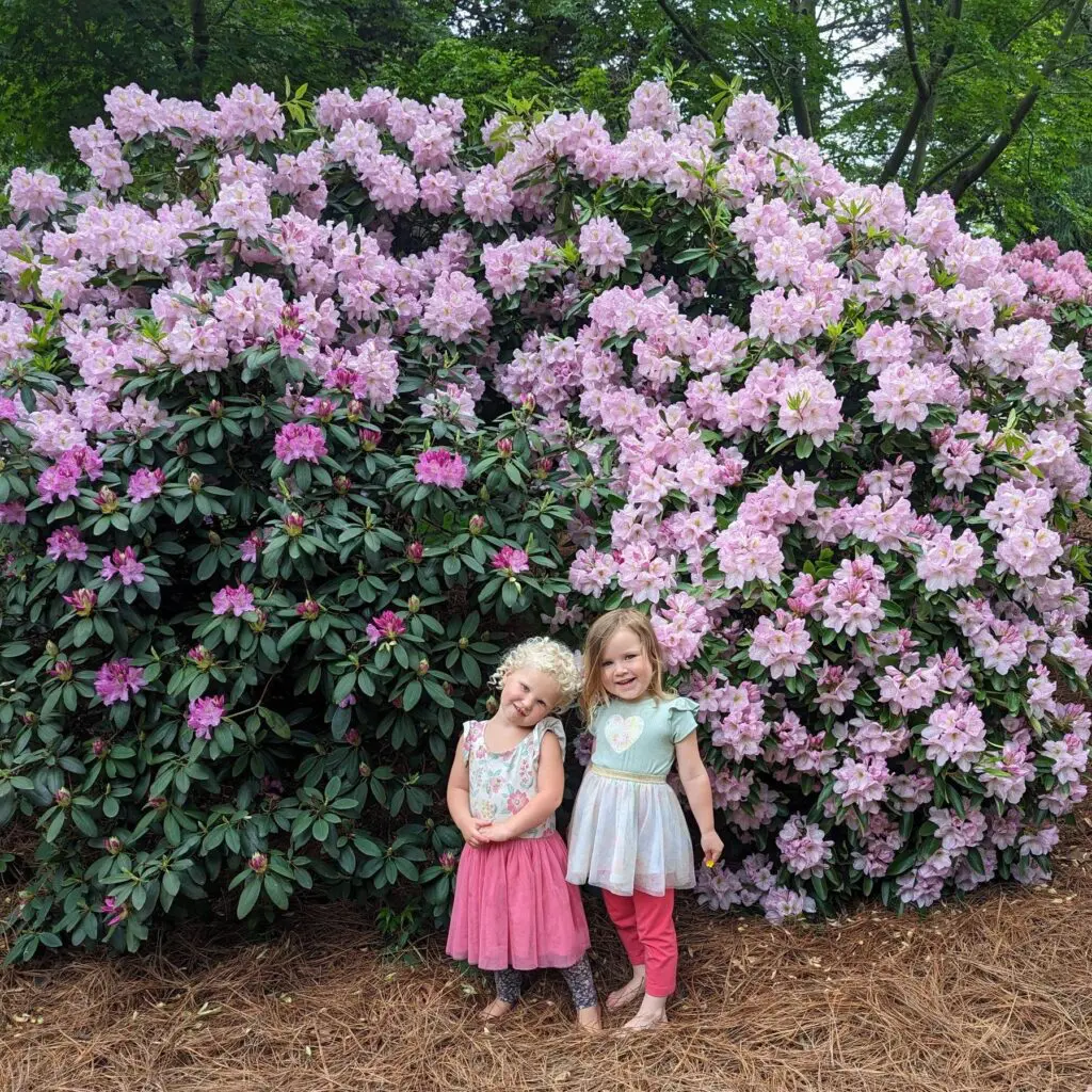 Garden Inspirations... 1 Garden Inspirations... 465546811 1285825242373186 5023251360206197504 N