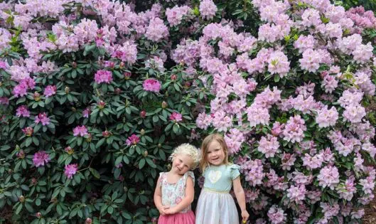 Garden Inspirations…_featured_image