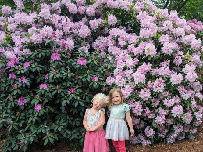 Garden Inspirations…_featured_image
