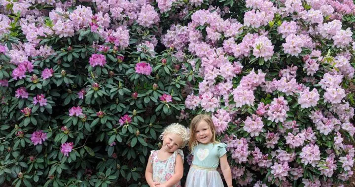 Garden Inspirations... 465546811 1285825242373186 5023251360206197504 N