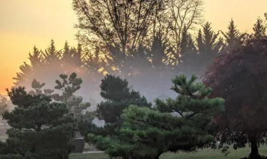 Garden Views – In Autumn_featured_image