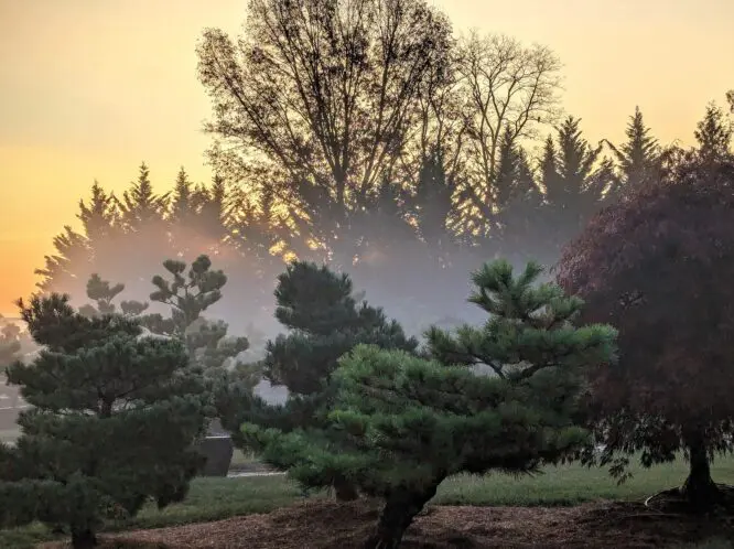 Garden Views – In Autumn_featured_image