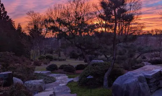 Garden View…_featured_image