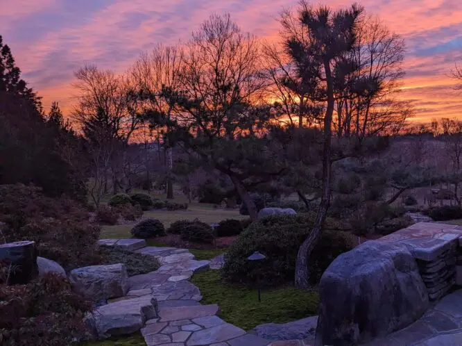 Garden View…_featured_image