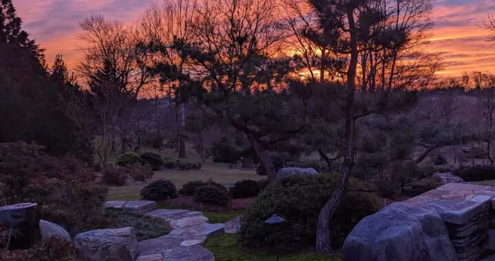 Garden View... 467123021 1296168684672175 5833339578521458507 N