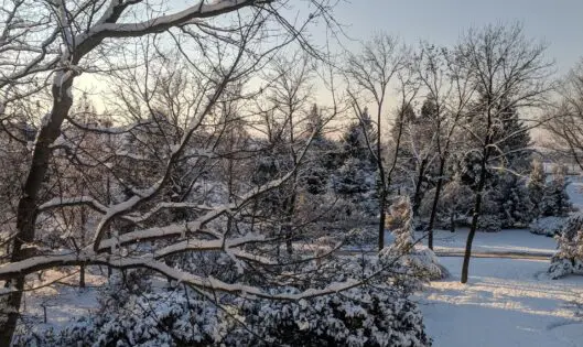 In Winter_featured_image