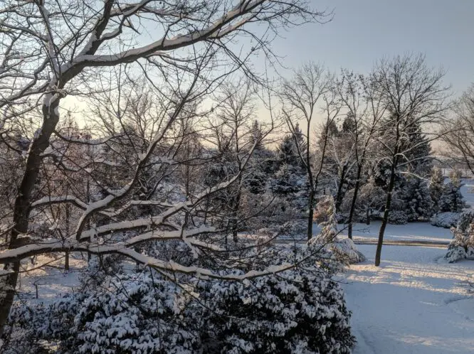 In Winter_featured_image