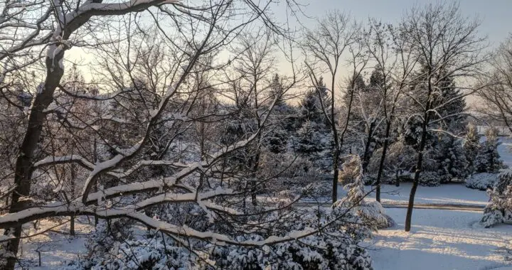 In Winter 467192847 1296146144674429 3964936739537968672 N