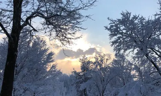 Winter Wonder_featured_image