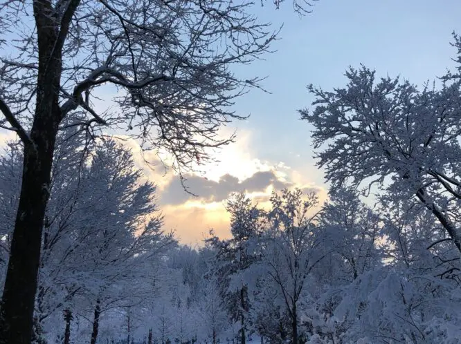 Winter Wonder_featured_image