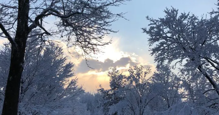Winter Wonder 469281736 1310921646530212 7416481638759200301 N