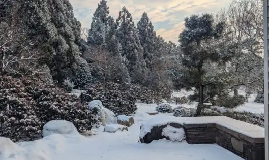Winter Gardening_featured_image