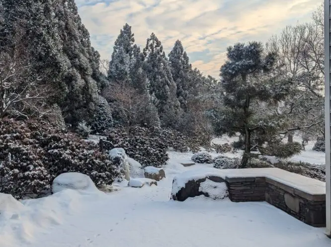 Winter Gardening_featured_image