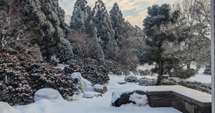 Winter Gardening 473088022 1337448393877537 6805360636185250049 N