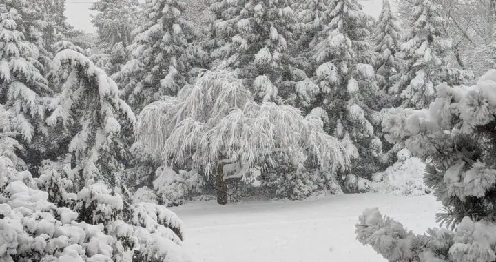 Winter Musings 473321818 1337444520544591 4325333573260043496 N