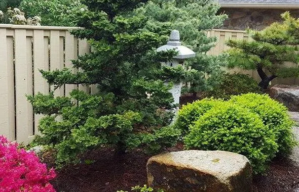 The Birth Of A Garden 475062099 1347045019584541 8831493068653633382 N