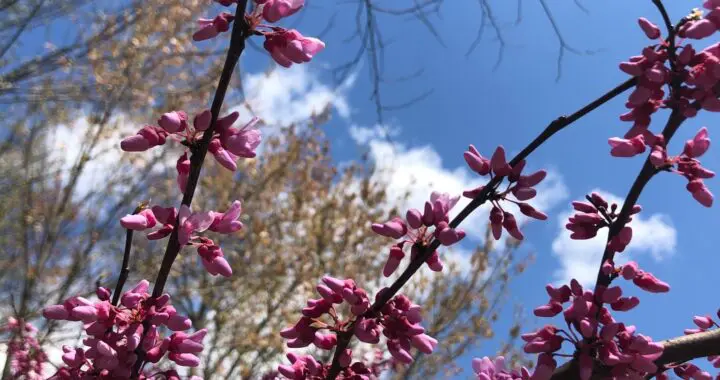 It'S Almost Here 475827825 1352470472375329 6357823914389361087 N