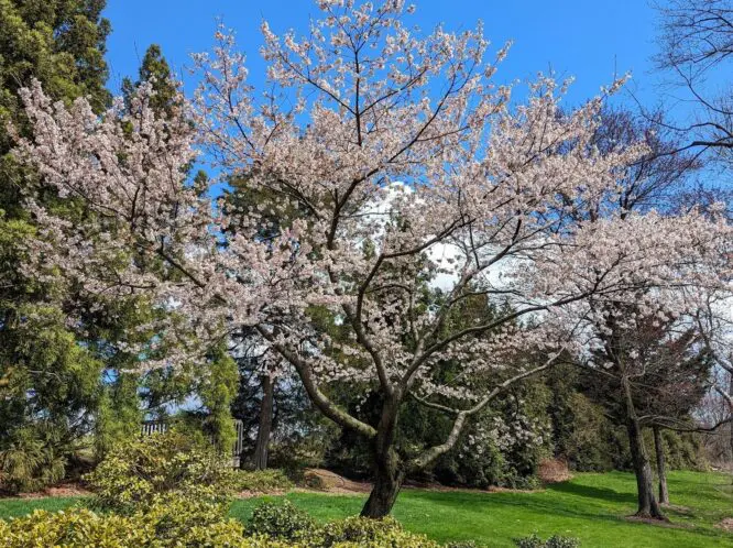 Spring Wind_featured_image