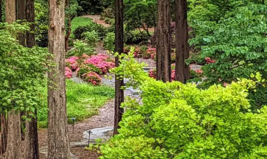 Happy Earth Day!_featured_image