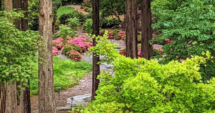 Happy Earth Day! 488226706 1400708250884884 6662848797202397727 N