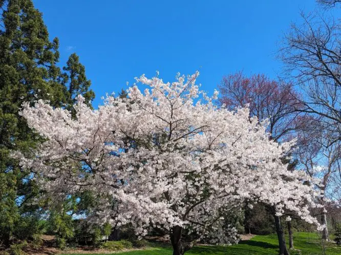 April Days_featured_image