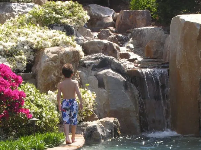Your Garden Oasis – Realizing the Dream (Part 1)_featured_image