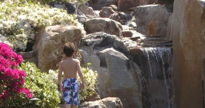 Your Garden Oasis - Realizing The Dream (Part 1) 488927336 1405371917085184 3643210874924311321 N