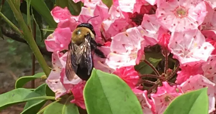 The Glories Of May 490772841 1411166486505727 9067083468247196951 N