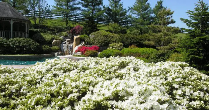 A-Maying 491832372 1411173419838367 2014853515873606568 N