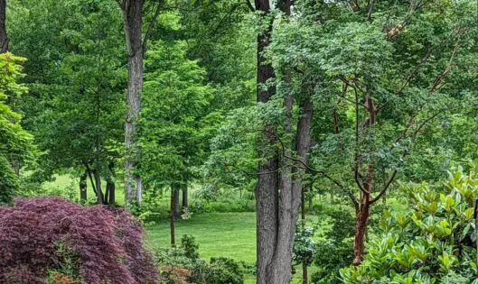 Your Gardne Oasis – Realizing The Dream (Part 5)_featured_image