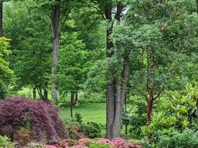 Your Gardne Oasis – Realizing The Dream (Part 5)_featured_image