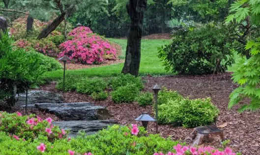 Your Garden Oasis – Realizing The Dream (Part 4)_featured_image