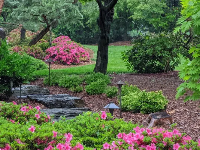 Your Garden Oasis – Realizing The Dream (Part 4)_featured_image