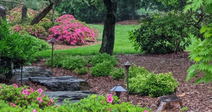 Your Garden Oasis - Realizing The Dream (Part 4) 493226677 1421489608806748 8259500705215146372 N