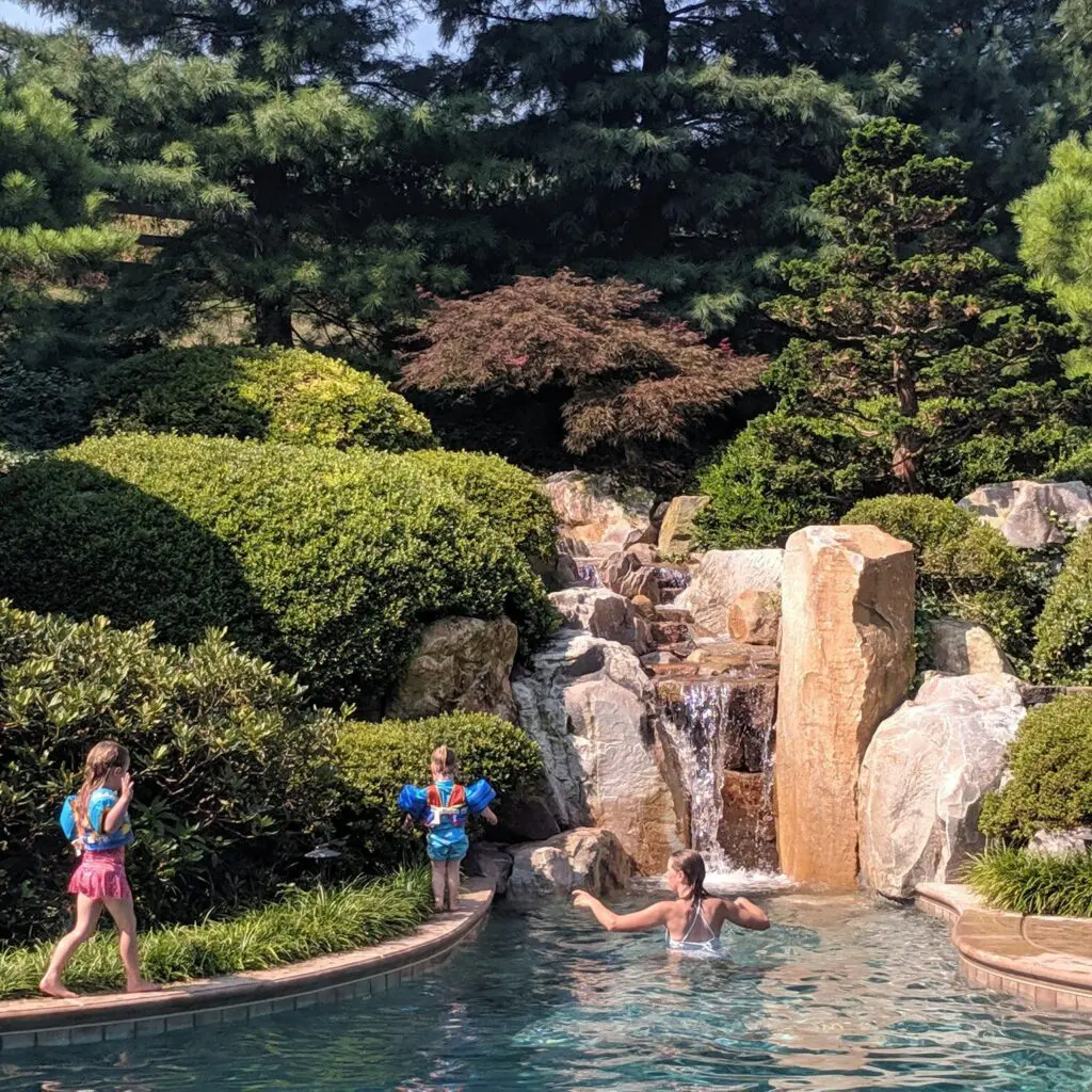 What'S Your Pool Preference? 1 What'S Your Pool Preference? 490352364 1410410216581354 4746903700835062076 N