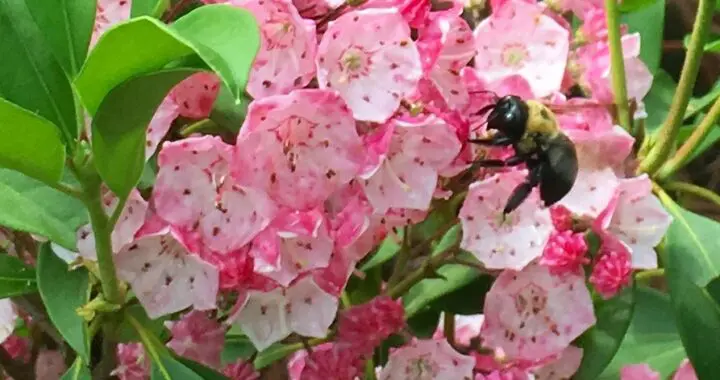 Did You Know... 16 Did You Know... 490501767 1410393699916339 2196935200661569861 N