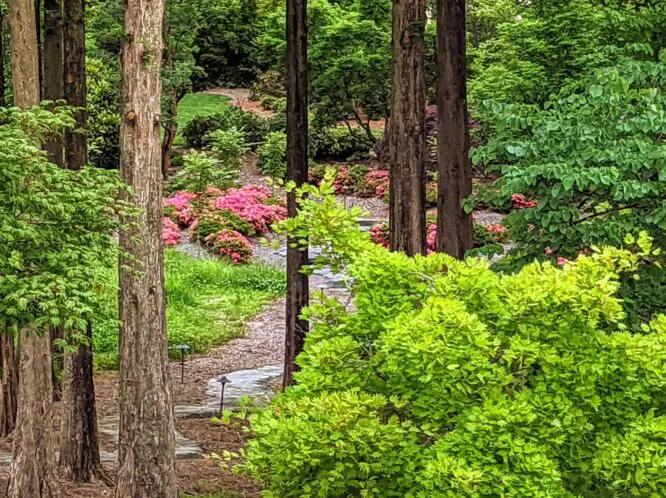 Early June_featured_image