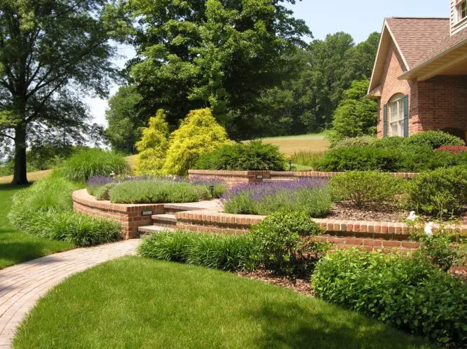 Garden Paths: Beauty Beneath Your Feet_featured_image