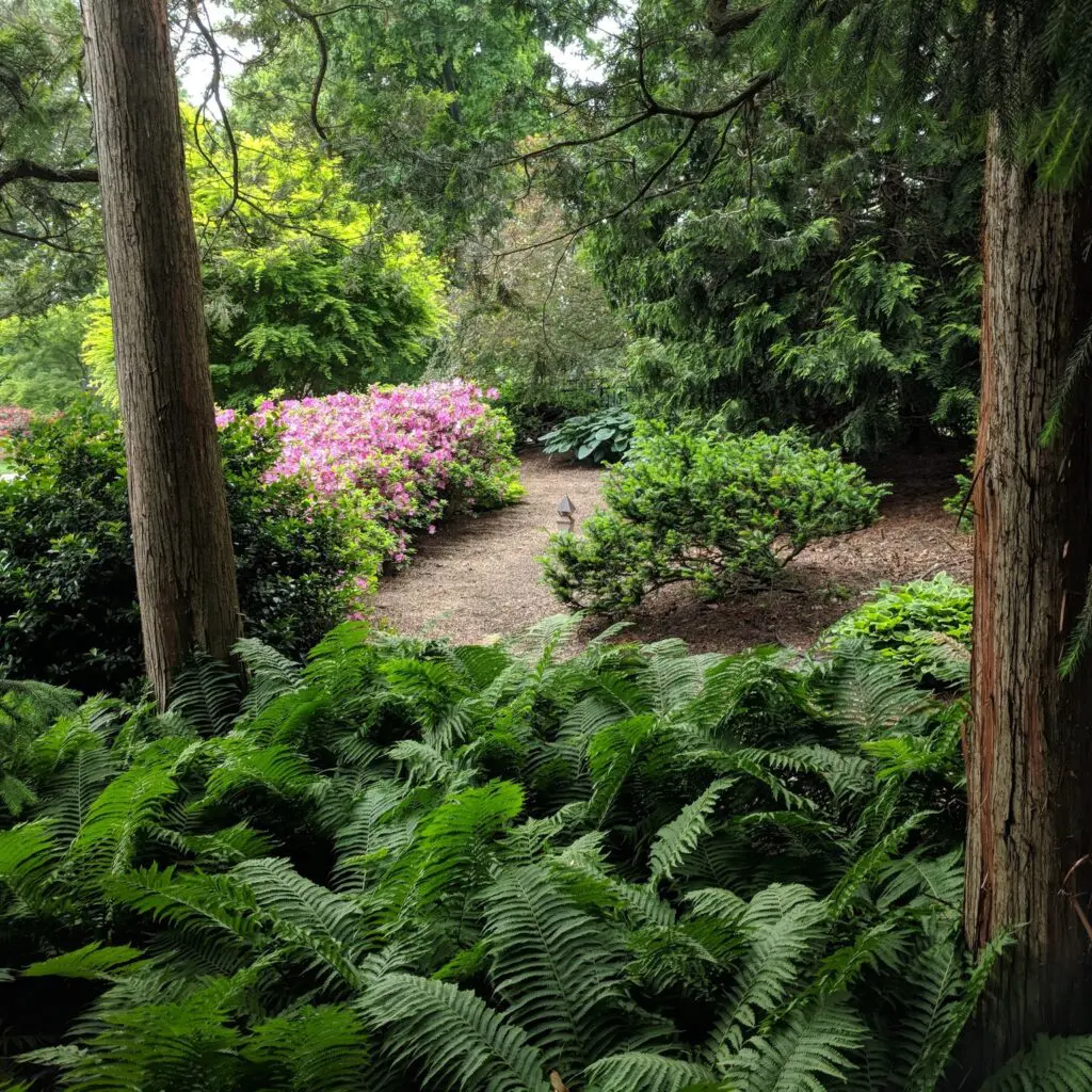 Garden Paths: Beauty Beneath Your Feet 3 Garden Paths: Beauty Beneath Your Feet 493229331 1421475982141444 4004161407802637359 N