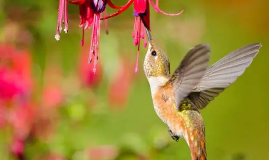 June!_featured_image