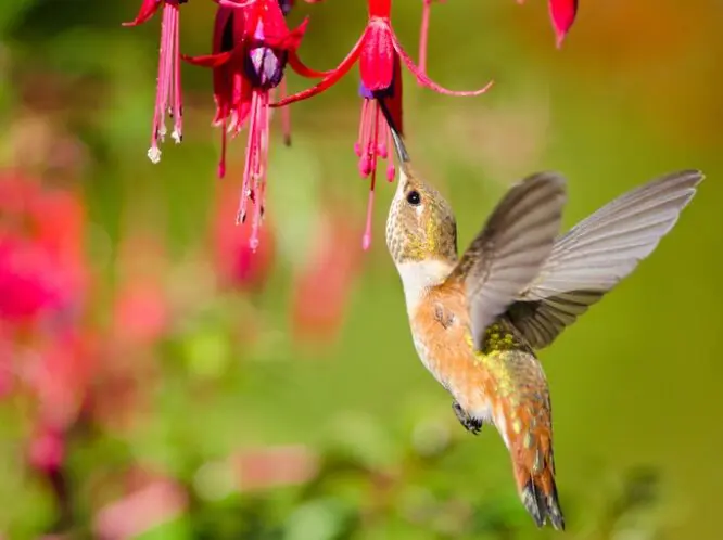 June!_featured_image
