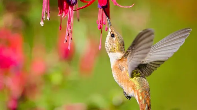 June! 10 June! 493261622 1421644382124604 5137976937631280513 N