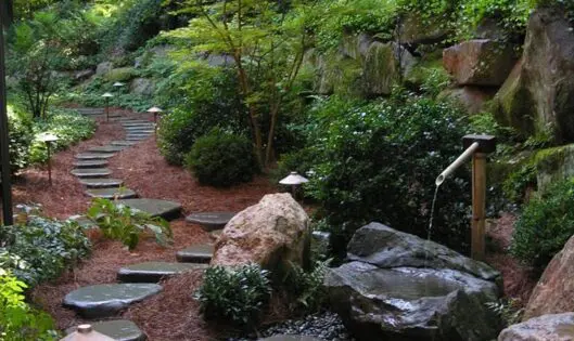 Garden Pathways: Beauty Beneath Your Feet_featured_image