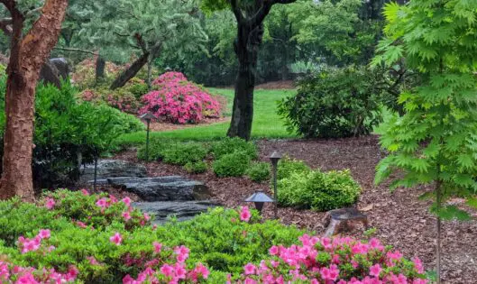 Why Garden?_featured_image